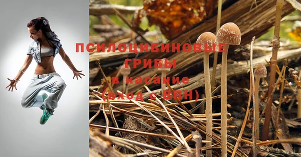 соль курить ск Бородино