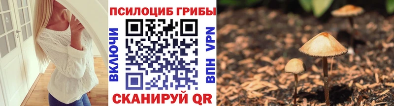 Галлюциногенные грибы прущие грибы  Ростов 